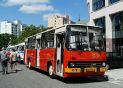 Ikarus 260.04 #28339