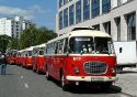 Jelcz 043 #1679
