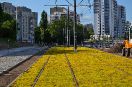 Trasa na Naramowice