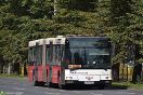 MAN NG313 #ZS 804CV PKS Szczecin