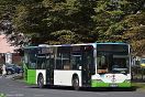 Mercedes O530 #10124 PKS Szczecin