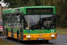 MAN NL202 #1031