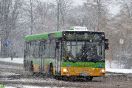 MAN NL223 #1051
