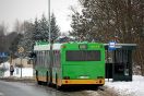 Neoplan N4021td #1733