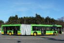 Neoplan N4021td #1733