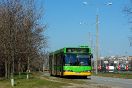 Neoplan N4021td #1733