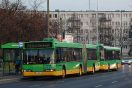 Neoplan N4021td #1733
